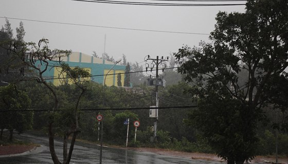 Diễn biến bão số 9: Sài Gòn mưa trắng trời khiến cây xanh ngã đổ, Vũng Tàu vẫn đang oằn mình chống bão - Ảnh 19.