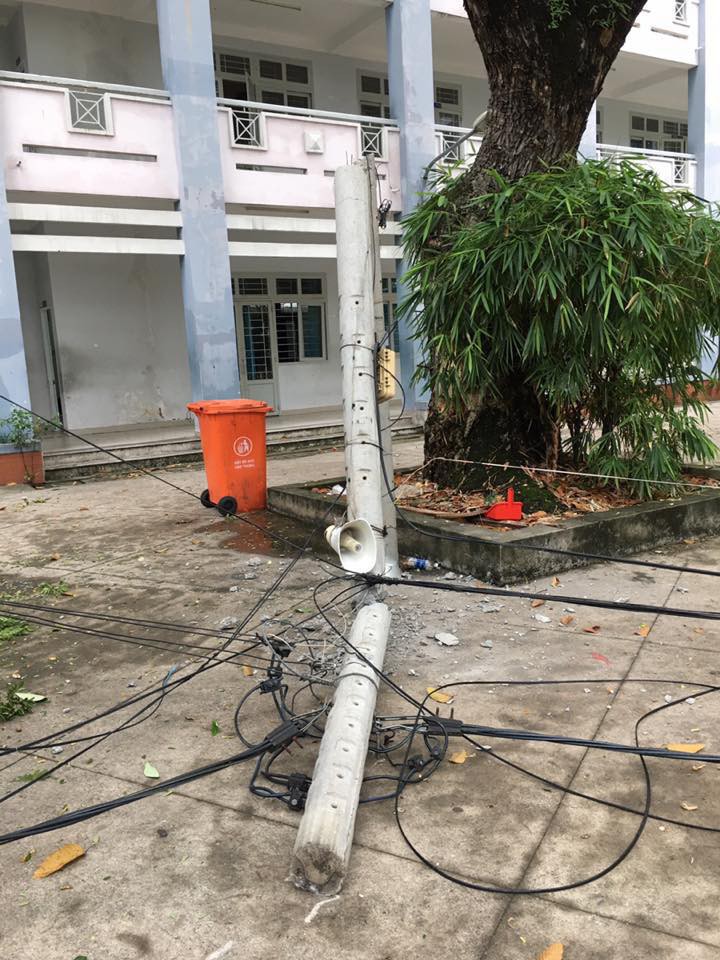 Trường ngập, cây bật gốc, cột điện ngã ngổn ngang, 2 ngôi trường tại TPHCM cho học sinh nghỉ học đến hết ngày 27/11 - Ảnh 2.