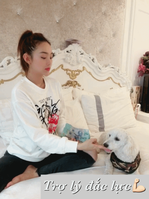 Hoá ra Minh Hằng nuôi chó là để có ngay một trợ lý đắc lực cho việc... đếm tiền! - Ảnh 3.