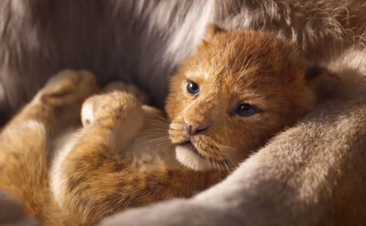 Làm lại The Lion King và loạt phim kinh điển, liệu Disney có đi vào lối mòn sáng tạo? - Ảnh 1. Làm lại The Lion King và loạt phim kinh điển, liệu Disney có đi vào lối mòn sáng tạo? - Ảnh 1.