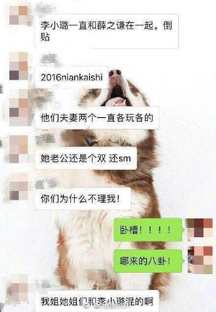 Giả N&atilde;i Lượng l&agrave; bisexual, cưới L&yacute; Tiểu Lộ v&igrave; lợi &iacute;ch đ&ocirc;i b&ecirc;n?- Ảnh 2.