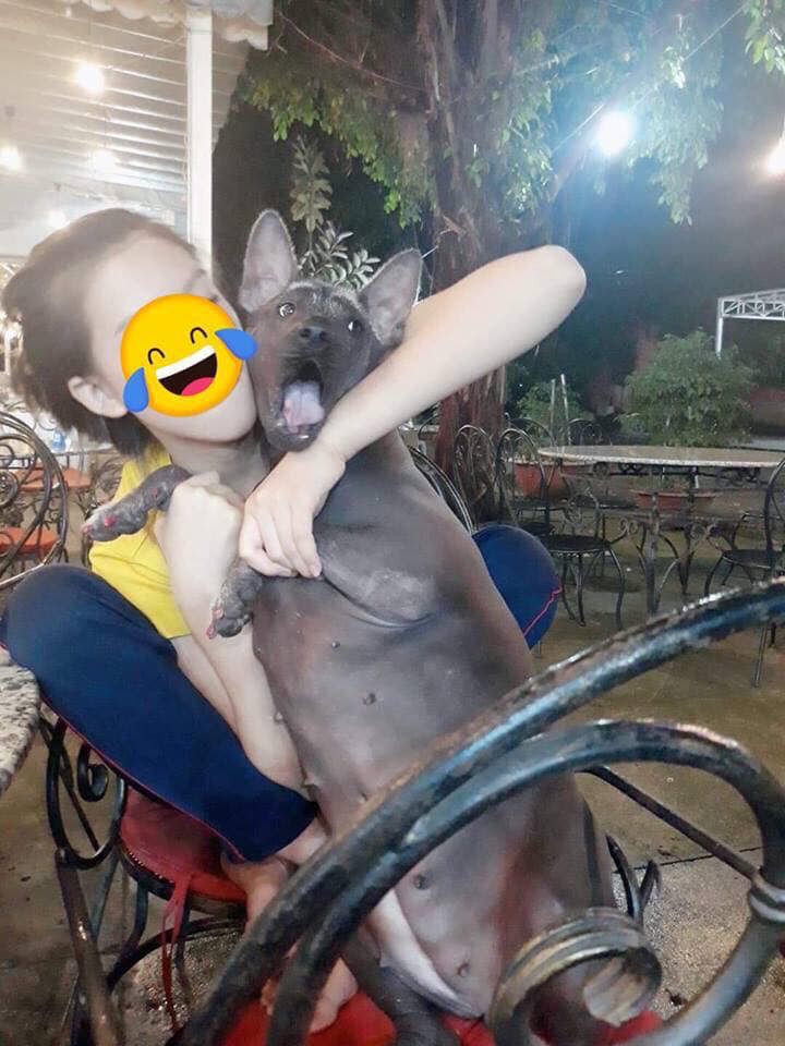Chú chó trong bộ pyjama màu hồng thắm khiến cư dân mạng cười không nhặt được mồm - Ảnh 7. Chú chó trong bộ pyjama màu hồng thắm khiến cư dân mạng cười không nhặt được mồm - Ảnh 7.