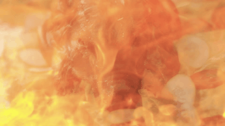 Đề văn: Ph&acirc;n t&iacute;ch h&igrave;nh ảnh gia s&uacute;c gia cầm, đặc biệt l&agrave; lo&agrave;i lợn trong MV Mời anh v&agrave;o Team em của Chi Pu - Ảnh 4.