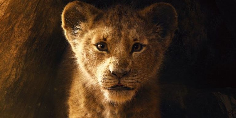 6 câu hỏi mà fan không thể không thắc mắc ở The Lion King bản live-action - Ảnh 5. 6 câu hỏi mà fan không thể không thắc mắc ở The Lion King bản live-action - Ảnh 5.