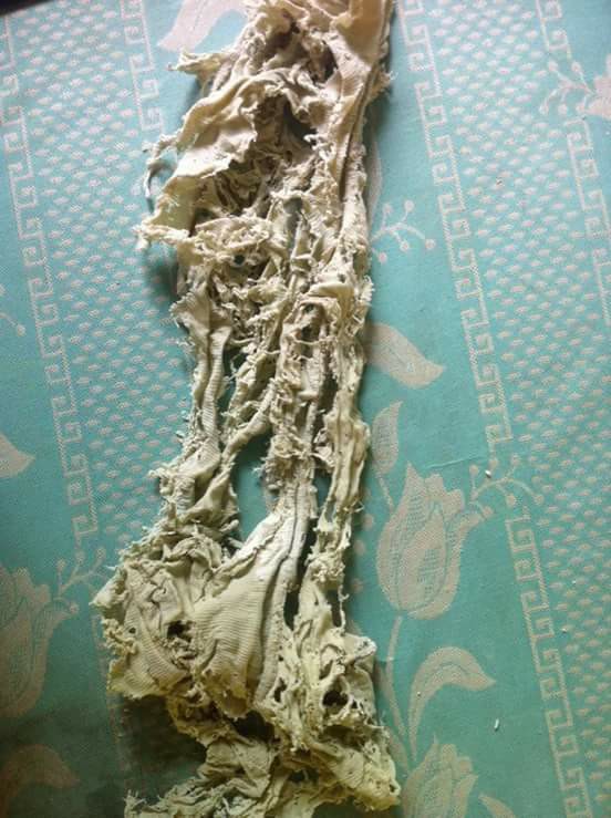 Giẻ lau bảng - vật c&oacute; sức sống m&atilde;nh liệt nhất ở lớp học, r&aacute;ch bươm đến hơi thở cuối c&ugrave;ng vẫn kh&ocirc;ng thay - Ảnh 7.