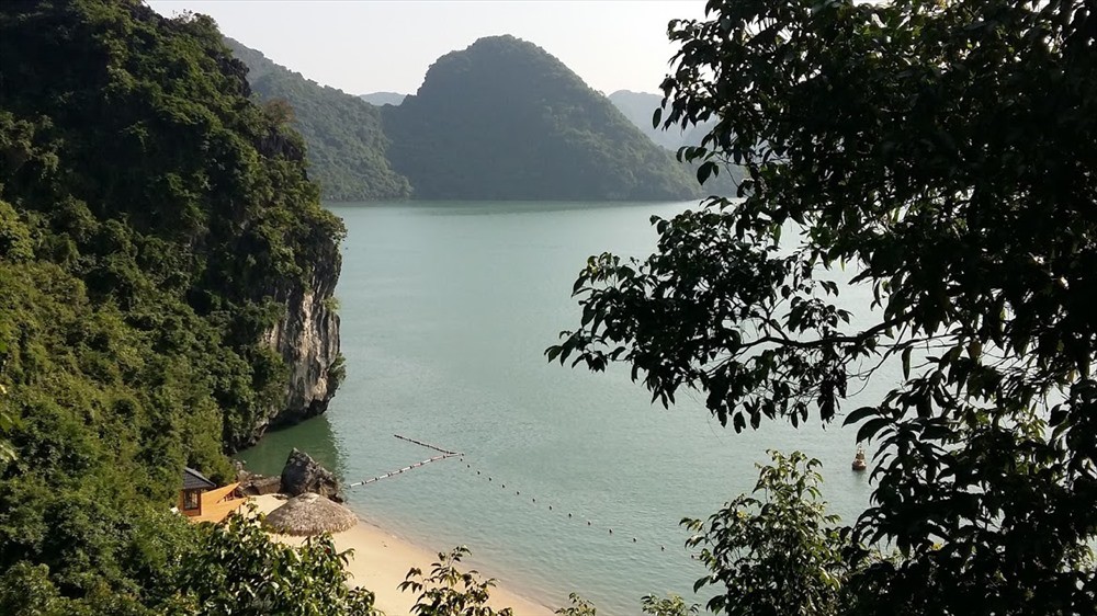 Khách Tây uể oải vì không chen nổi khách “tour 0 đồng” ở vịnh Hạ Long - Ảnh 2. Khách Tây uể oải vì không chen nổi khách “tour 0 đồng” ở vịnh Hạ Long - Ảnh 2.