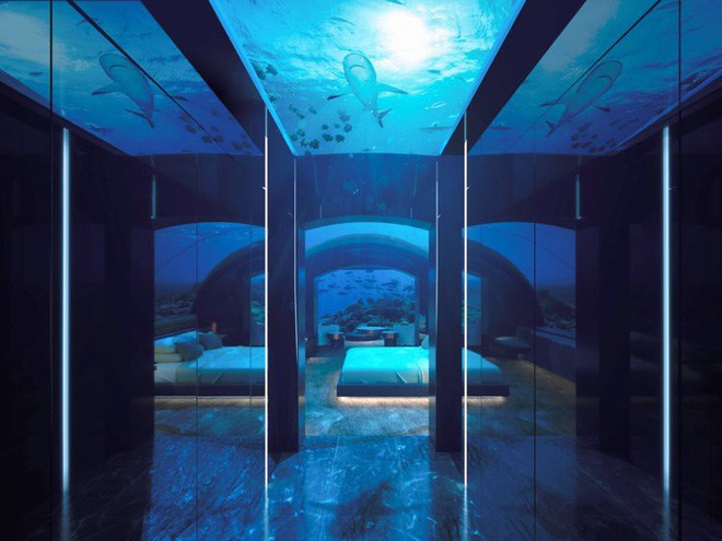 Bên trong khách sạn dưới biển đầu tiên trên thế giới, nơi bạn có thể ngủ cạnh cá mập Photo-5-15412602967622138525197
