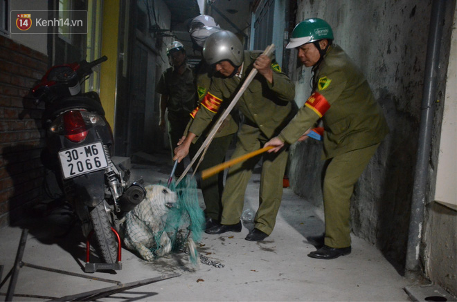 Hà Nội: Người đàn ông buồn rầu khi con chó của gia đình bị đội bắt chó thả rông cho vào lồng sắt, đưa về trụ sở phường - Ảnh 6.