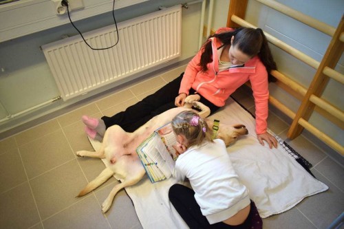 Phần Lan: Dùng chó để giúp học sinh học tập tốt hơn - Ảnh 2.