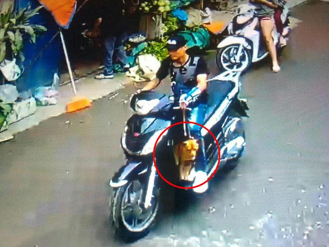 Hà Nội: Thanh niên ăn mặc sành điệu đi xe SH bế trộm chó nhà hàng xóm - Ảnh 1.