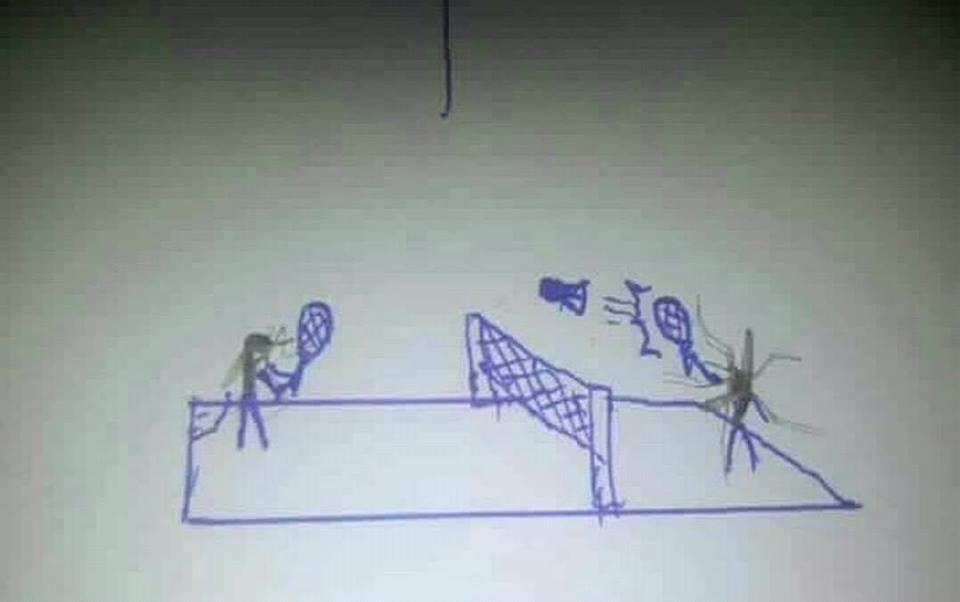 Khi bạn rảnh v&agrave; hối hận v&igrave; đ&atilde; s&aacute;t sinh lo&agrave;i động vật đ&aacute;ng gh&eacute;t nhất h&agrave;nh tinh n&agrave;y: muỗi - Ảnh 6.