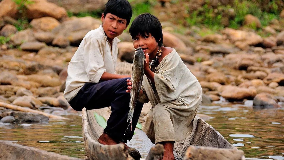 Bộ tộc khỏe nhất thế giới hiện nay đang dần... bớt khỏe hơn vì lý do này - Ảnh 1. Bộ tộc khỏe nhất thế giới hiện nay đang dần... bớt khỏe hơn vì lý do này - Ảnh 1.