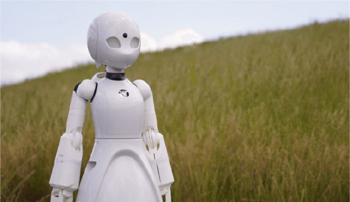 Quán cafe độc đáo tại Hàn Quốc: Nhân viên phục vụ toàn là robot do người bại liệt điều khiển - Ảnh 3. Quán cafe độc đáo tại Hàn Quốc: Nhân viên phục vụ toàn là robot do người bại liệt điều khiển - Ảnh 3.