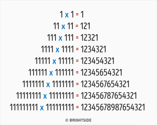 6622710-130277pict2-1473698316-650-1177cd5071-1488538208-1544506195824344823296.jpg