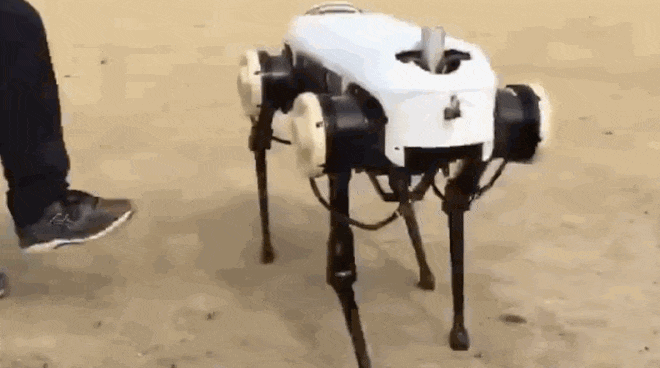 Trung Quốc cái gì cũng làm được, kể cả phiên bản y hệt như robot chó SpotMini của Boston Dynamics - Ảnh 4.