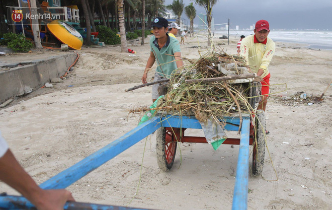 Thí sinh Hoa khôi Sinh viên nhiệt tình dọn rác tại biển Đà Nẵng sau trận ngập lụt lịch sử - Ảnh 7.