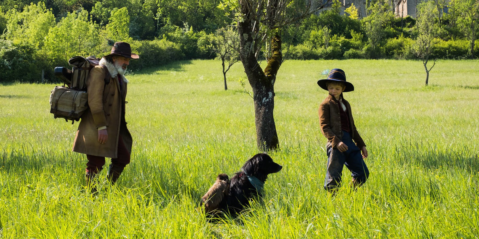 3 điểm khác biệt giữa tiểu thuyết kinh điển một thời và phiên bản điện ảnh của Không Gia Đình - Ảnh 3. 3 điểm khác biệt giữa tiểu thuyết kinh điển một thời và phiên bản điện ảnh của Không Gia Đình - Ảnh 3.