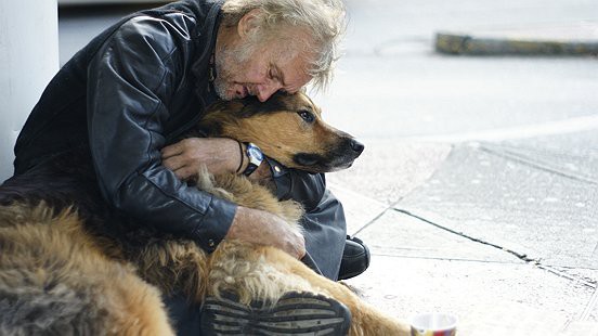 Các bức ảnh cảm động về chó sẽ khiến trái tim bạn tan chảy. Hãy tận hưởng những khoảnh khắc đáng yêu và xúc động của những chú chó này.