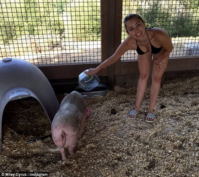Y&ecirc;u nhau đ&atilde; l&acirc;u, Miley Cyrus vẫn m&ecirc; mẩn body Liam Hemsworth v&agrave; thường l&agrave;m chuyện ấy qua mạng - Ảnh 4.