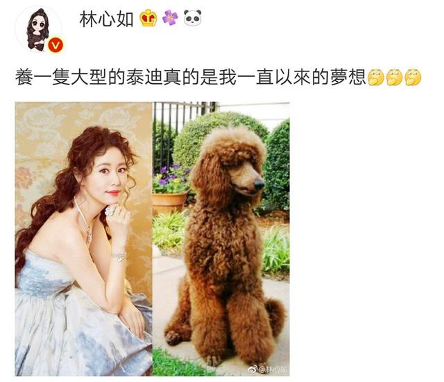L&acirc;m T&acirc;m Như tự so s&aacute;nh m&aacute;i t&oacute;c x&ugrave; m&igrave; của m&igrave;nh giống hệt ch&uacute; ch&oacute; c&ocirc; n&agrave;ng y&ecirc;u th&iacute;ch - Ảnh 3.