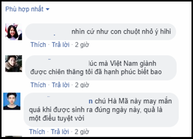 Cùng ngày Đội tuyển Việt Nam vô địch AFF Cup 2018, có một nhà vô địch nữa cũng mới chào đời - Ảnh 2.