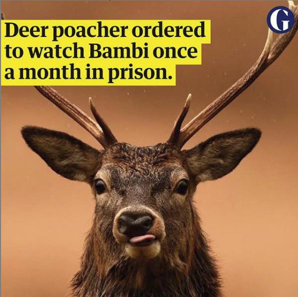Chuyện kì quặc ở Mỹ: Phim hoạt hình “Bambi” được dùng để trừng phạt... tù nhân - Ảnh 1.
