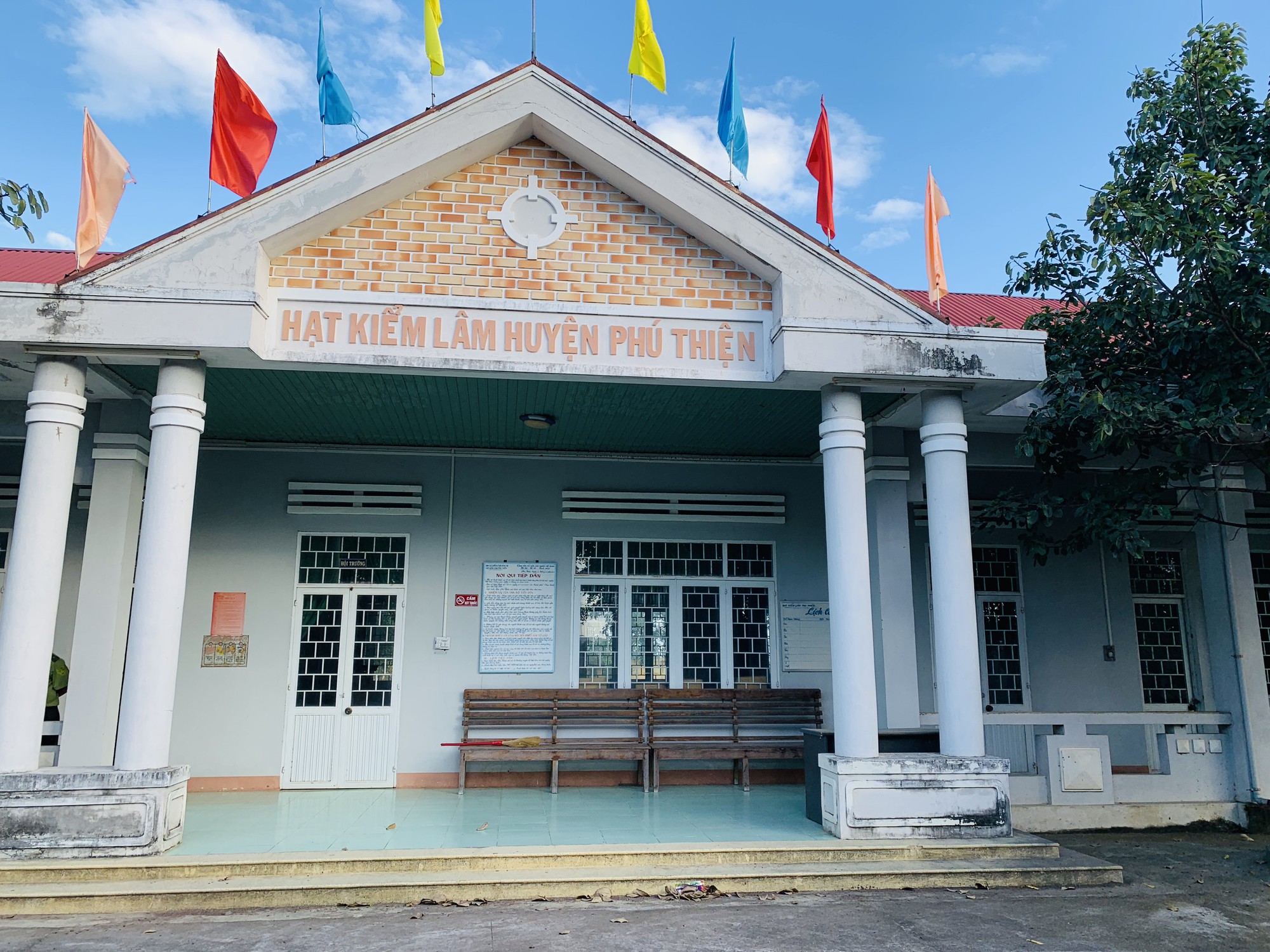 Gia Lai: Lâm tặc ngang nhiên vận chuyển gỗ lậu đi qua trạm quản lý rừng - Ảnh 5. Gia Lai: Lâm tặc ngang nhiên vận chuyển gỗ lậu đi qua trạm quản lý rừng - Ảnh 5.