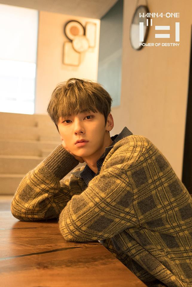 Sau khi tan r&atilde;, c&aacute;c th&agrave;nh vi&ecirc;n Wanna One sẽ đi đ&acirc;u về đ&acirc;u? - Ảnh 2.
