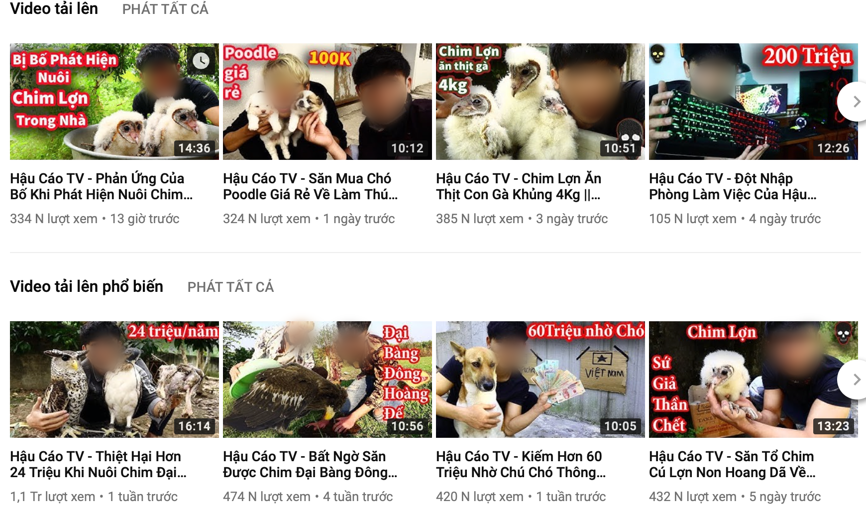 Cộng đồng mạng kêu gọi report kênh youtube của thanh niên lấy xác mèo nướng thịt, ăn xong ném cho chó săn đánh chén - Ảnh 1. Cộng đồng mạng kêu gọi report kênh youtube của thanh niên lấy xác mèo nướng thịt, ăn xong ném cho chó săn đánh chén - Ảnh 1.