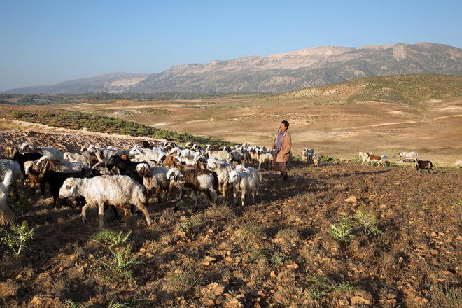 Cuộc sống l&uacute;c 8 giờ s&aacute;ng ở khắp nơi tr&ecirc;n thế giới qua lăng k&iacute;nh giản dị của nhiếp ảnh gia t&agrave;i ba - Ảnh 5.