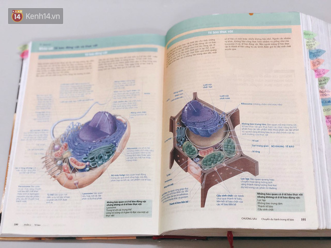 Đây chính là cuốn sách giúp Phương Thảo - nữ sinh 2000 giành HCV, có điểm thi Olympic Sinh học Quốc tế cao nhất thế giới - Ảnh 9.