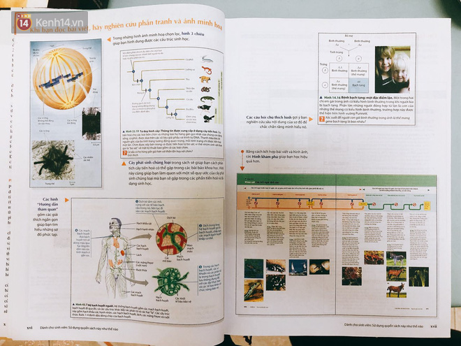 Đây chính là cuốn sách giúp Phương Thảo - nữ sinh 2000 giành HCV, có điểm thi Olympic Sinh học Quốc tế cao nhất thế giới - Ảnh 10.