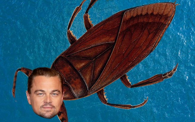 Quỹ Leonardo DiCaprio vừa quyên góp hơn 2300 tỷ đồng vào cuộc chiến chống biến đổi khí hậu - Ảnh 2.