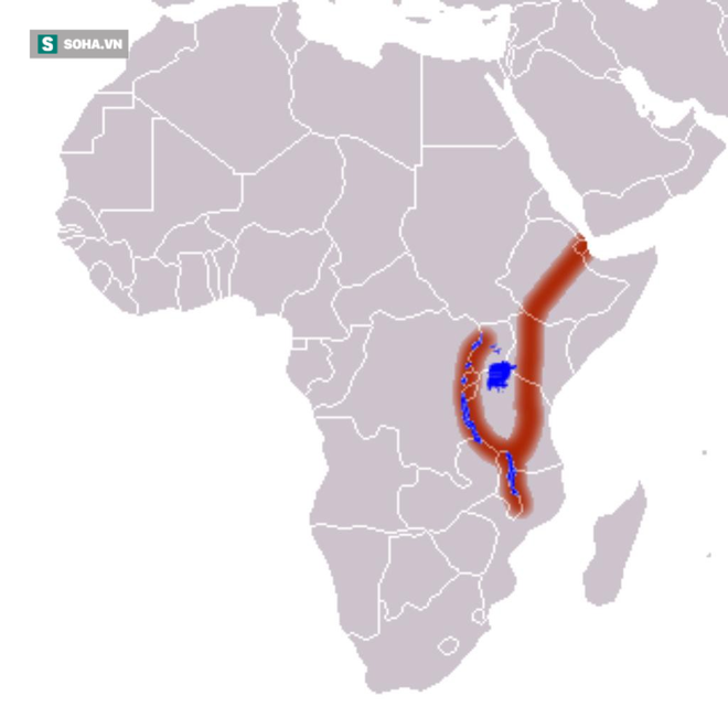Châu Phi đối mặt nguy cơ vỡ làm đôi: Vết nứt dài hàng nghìn mét là bằng chứng - Ảnh 3.