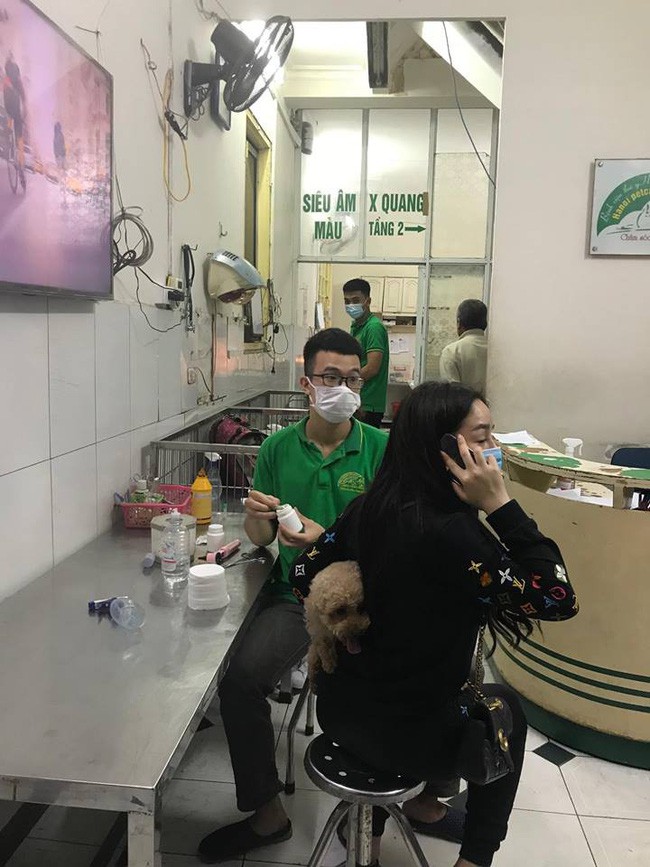 Hà Nội: Đưa chó cưng đi khám, cô gái bị tàu hất văng sang một bên, may mắn thoát chết - Ảnh 4. Hà Nội: Đưa chó cưng đi khám, cô gái bị tàu hất văng sang một bên, may mắn thoát chết - Ảnh 4.