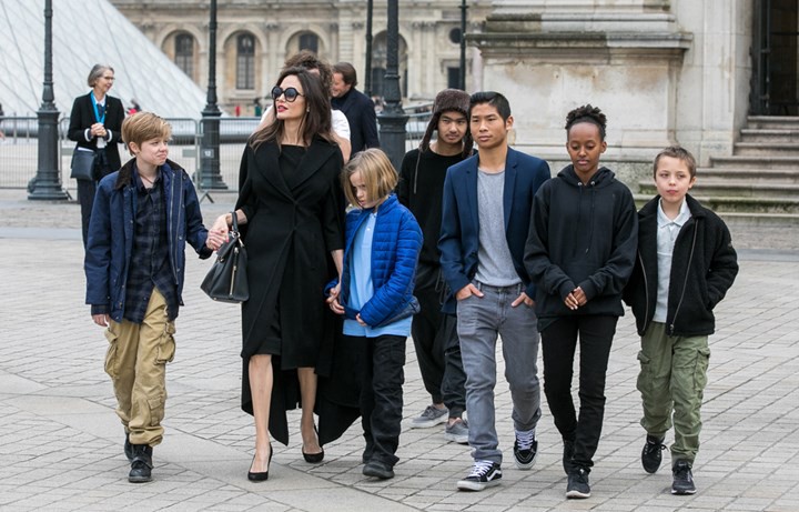Brad Pitt đã đốt nửa số gia tài để giải quyết vụ ly hôn với Angelina Jolie: Con số chính xác có thể gây sốc? - Ảnh 2. Brad Pitt đã đốt nửa số gia tài để giải quyết vụ ly hôn với Angelina Jolie: Con số chính xác có thể gây sốc? - Ảnh 2.