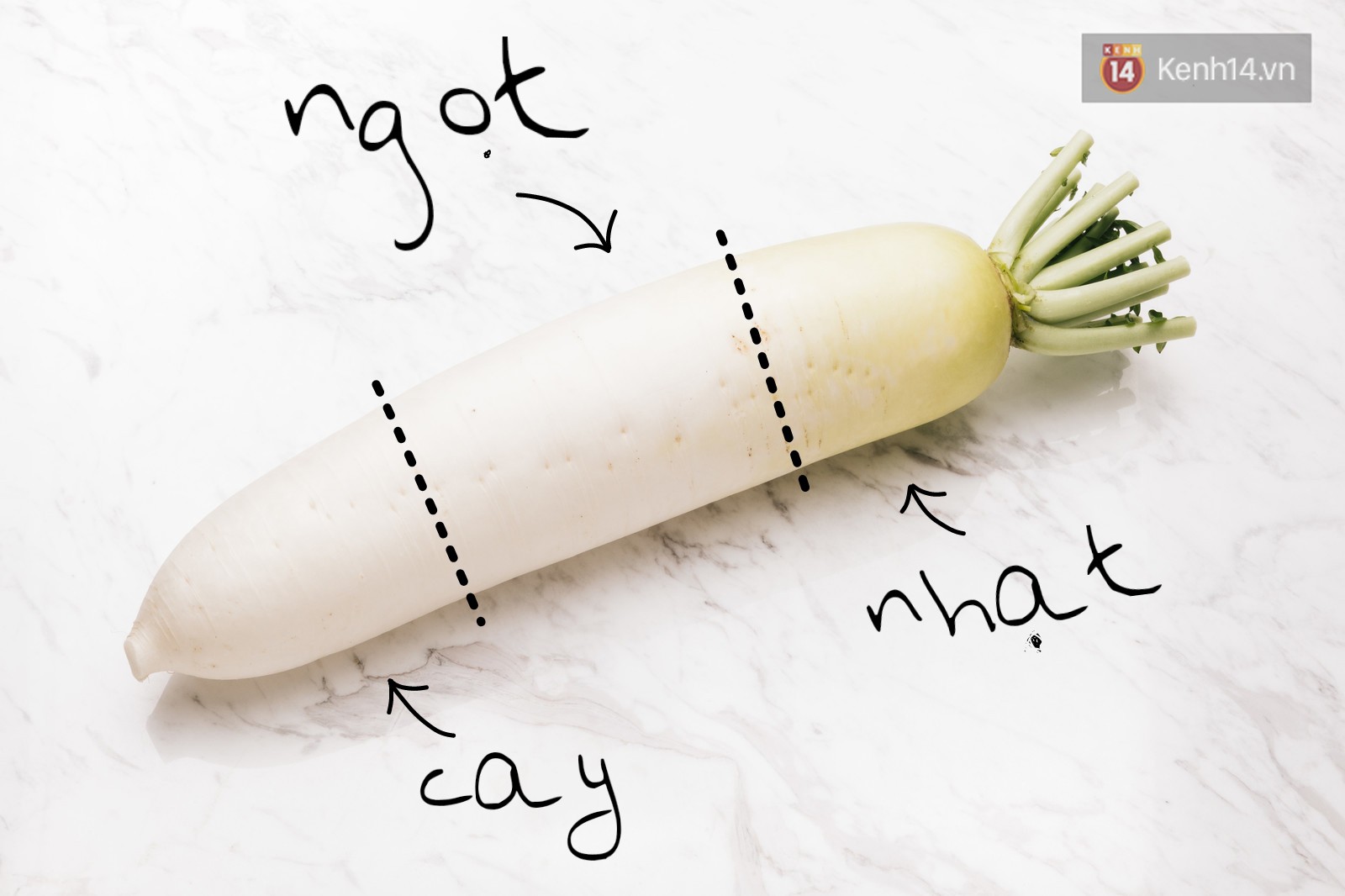 Độc nhất vô nhị củ cải bào của Nhật: bào mạnh thì ra vị cay mà bào nhẹ thì ra vị nhạt không biết đâu mà lần - Ảnh 4. Độc nhất vô nhị củ cải bào của Nhật: bào mạnh thì ra vị cay mà bào nhẹ thì ra vị nhạt không biết đâu mà lần - Ảnh 4.