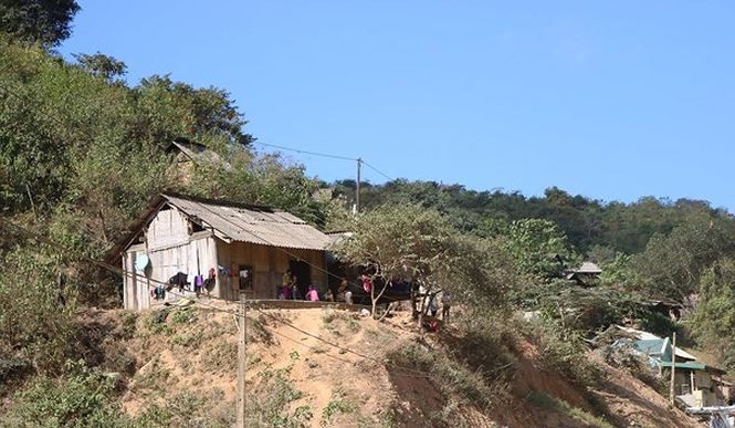 Nam thanh niên tử vong nghi do ăn lá ngón ở nhà bố mẹ vợ - Ảnh 1. Nam thanh niên tử vong nghi do ăn lá ngón ở nhà bố mẹ vợ - Ảnh 1.