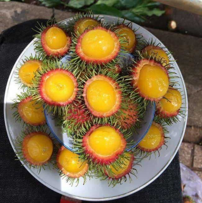 Ăn chôm chôm đem lại nhiều lợi ích hơn bạn tưởng rất nhiều - Ảnh 5.
