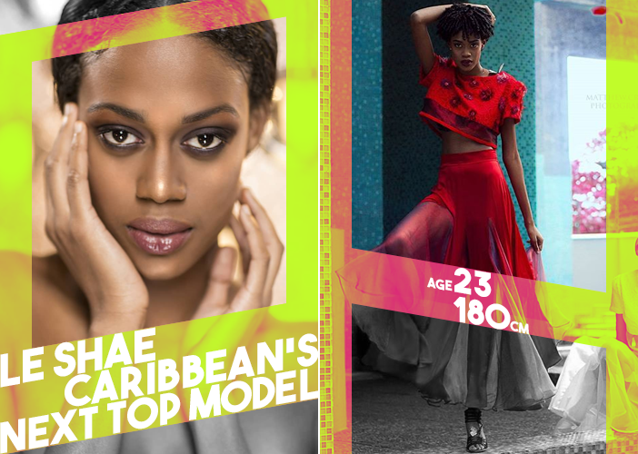 Next Top Model 2018: Người giỏi bị loại sạch, đa số Quán quân đều trời ơi đất hỡi - Ảnh 11. Next Top Model 2018: Người giỏi bị loại sạch, đa số Quán quân đều trời ơi đất hỡi - Ảnh 11.
