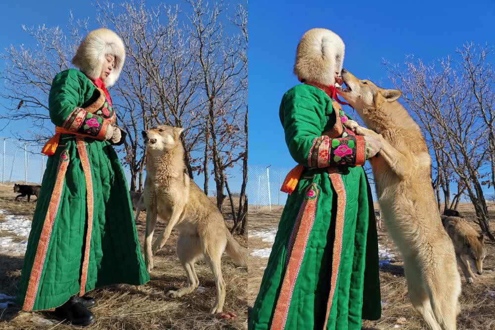Cô gái Mông Cổ với dàn pet độc 8 con sói, 3 bạn trai đều đòi chia tay vì sợ cãi nàng sẽ bị ăn thịt - Ảnh 5.