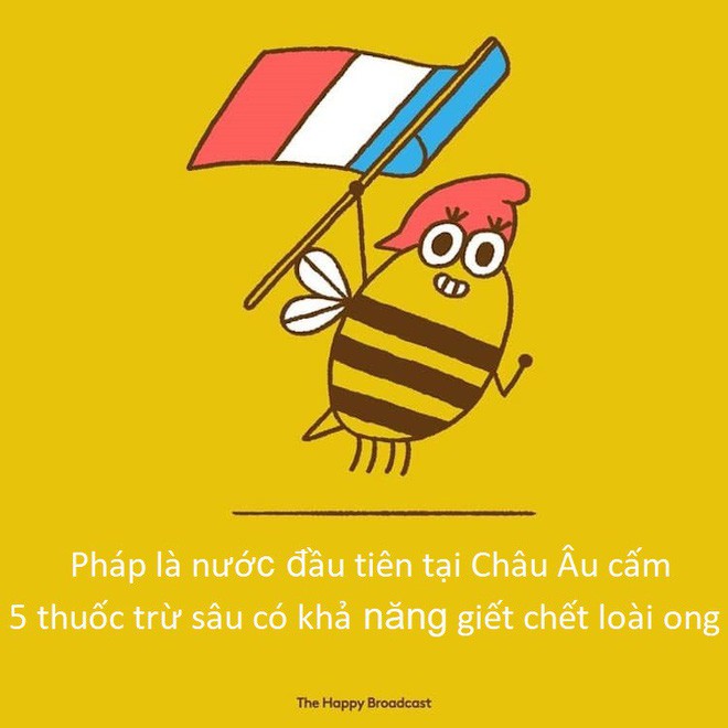 Họa sĩ tổng hợp lại những mẩu tin ấm lòng nhất năm vừa qua, thế mới thấy nhân loại tiến xa thế nào! - Ảnh 18.