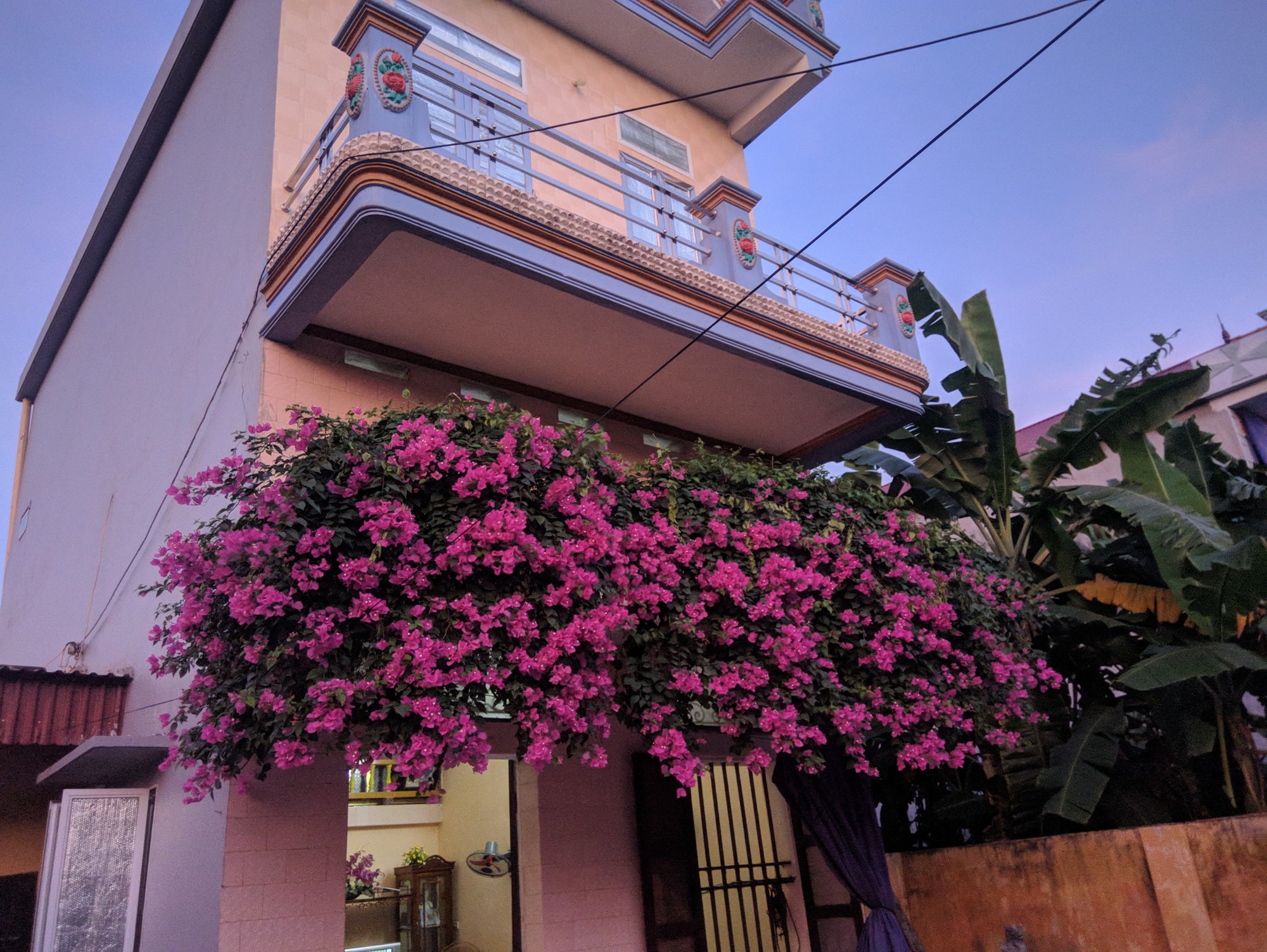 Thanh niên khoe căn nhà xinh có giàn hoa giấy 20 năm tuổi đẹp nức lòng cư dân mạng - Ảnh 3. Thanh niên khoe căn nhà xinh có giàn hoa giấy 20 năm tuổi đẹp nức lòng cư dân mạng - Ảnh 3.