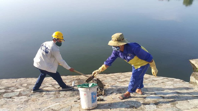 Nguyên nhân cá chết hàng loạt ở Nghệ An là do hồ điều hòa bị ô nhiễm - Ảnh 1.