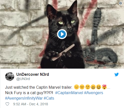 Rụng tim với biểu cảm nựng mèo cute không lối thoát của Nick Fury trong trailer Captain Marvel - Ảnh 5.