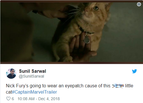 Rụng tim với biểu cảm nựng mèo cute không lối thoát của Nick Fury trong trailer Captain Marvel - Ảnh 8.