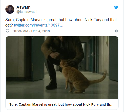 Rụng tim với biểu cảm nựng mèo cute không lối thoát của Nick Fury trong trailer Captain Marvel - Ảnh 11.