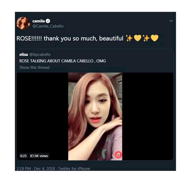 Hành động này của Camila Cabello khiến fan mong chờ về màn kết hợp với Joy (Red Velvet) và Rosé (BLACKPINK) - Ảnh 2. Hành động này của Camila Cabello khiến fan mong chờ về màn kết hợp với Joy (Red Velvet) và Rosé (BLACKPINK) - Ảnh 2.