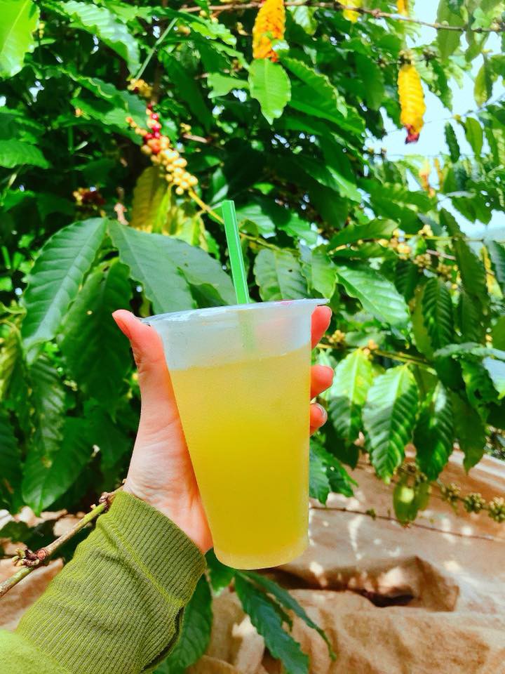 Sài Gòn có oi bức đến mấy vẫn có những phiên bản nước mía độc lạ giúp bạn đập tan cơn nóng ngay tức thì - Ảnh 4. Sài Gòn có oi bức đến mấy vẫn có những phiên bản nước mía độc lạ giúp bạn đập tan cơn nóng ngay tức thì - Ảnh 4.