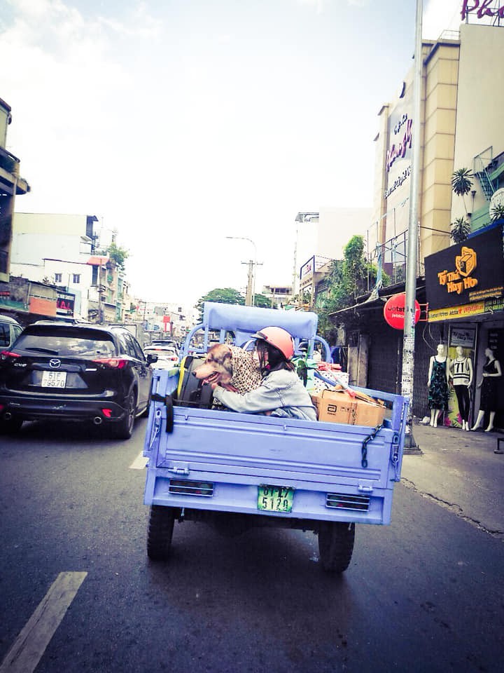 Ôm boss ngồi thùng xe để chuyển nhà, cô bạn dễ thương bị nhầm là... trộm chó khiến dân mạng cười bò - Ảnh 1.